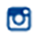 Instagram Icon