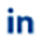 LinkedIN Icon